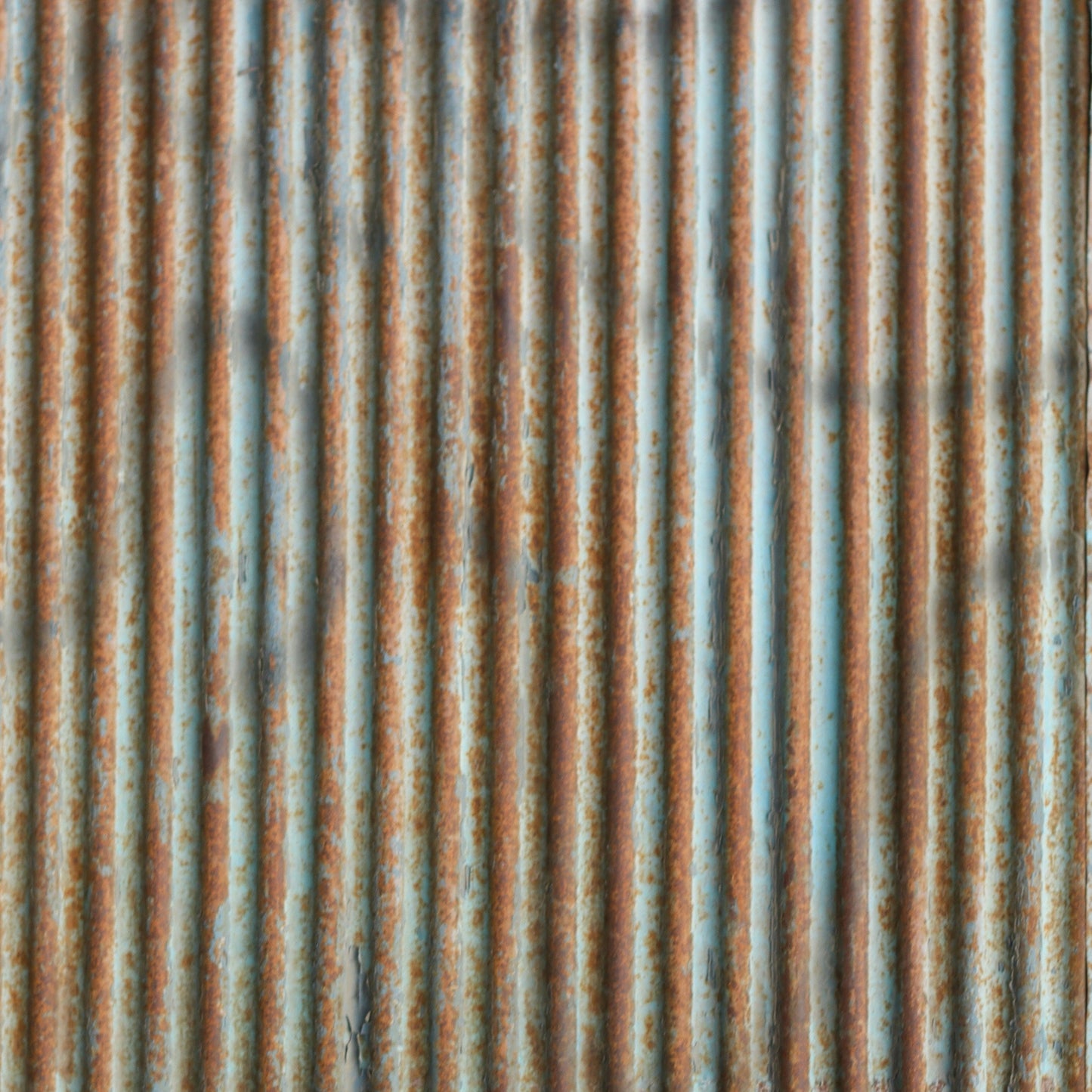 Moderate Rust